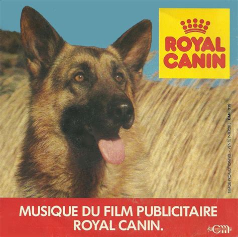 musique pub royal canin